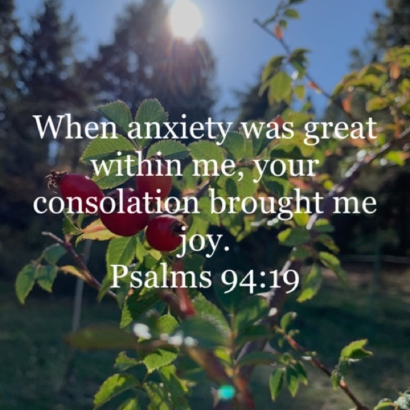 Need Prayer? - Picture 7 of 12